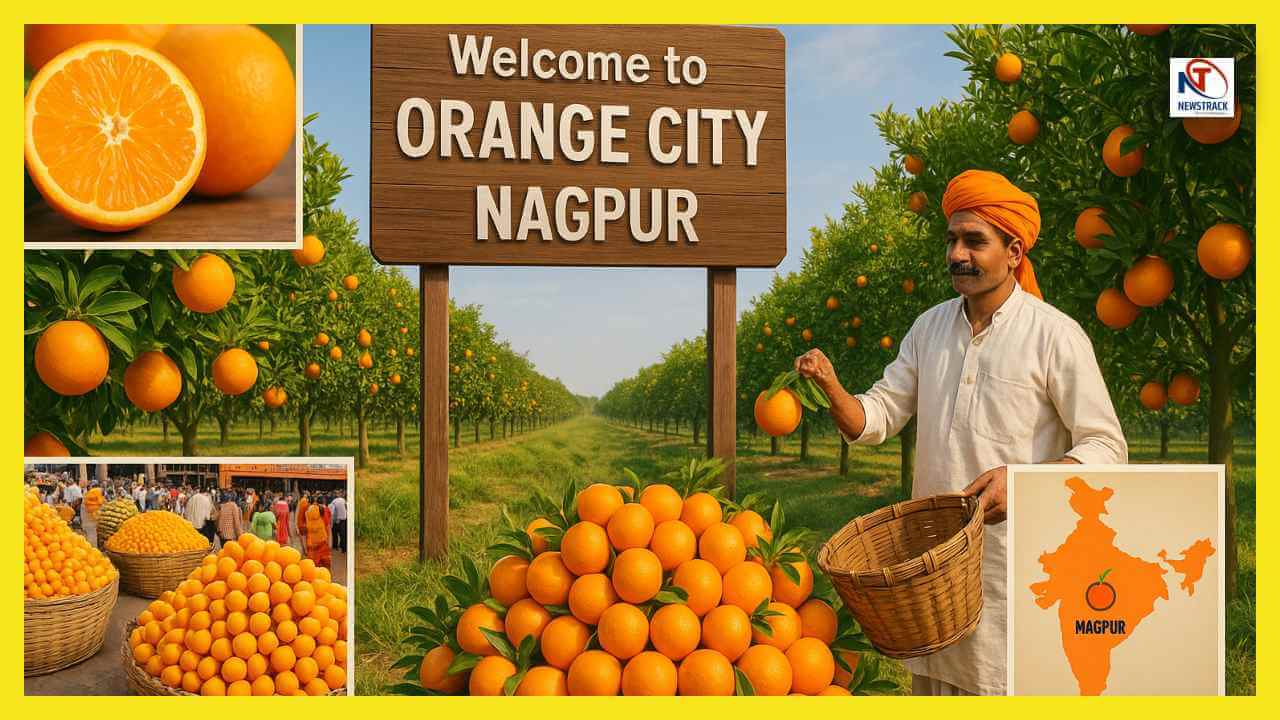 Pune to Nagpur cab service route